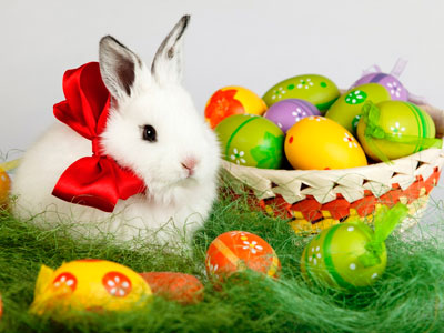 Conejillo y huevos de Pascua